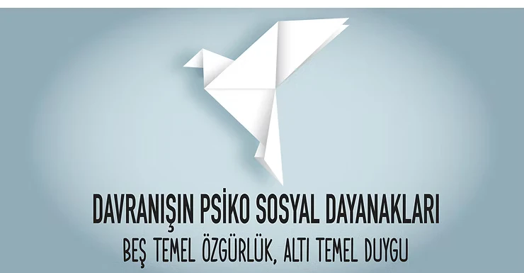 Davranışın Psiko Sosyal Dayanakları Beş Temel Özgürlük